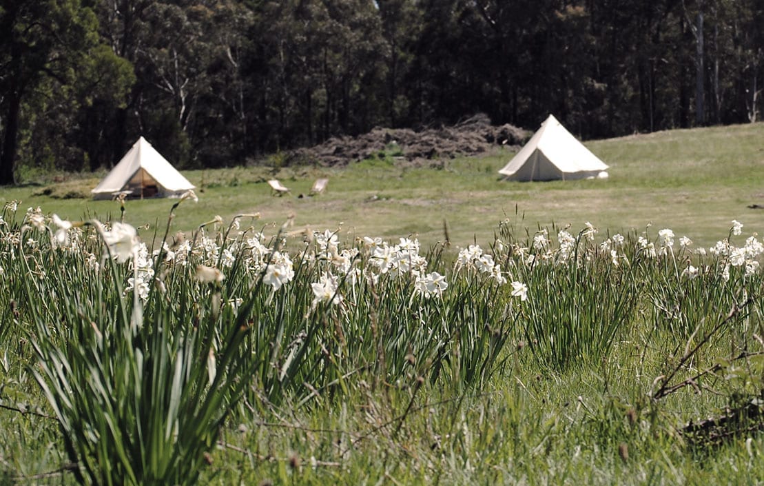 Girls Glamping Cosy Tents My Xxx Hot Girl